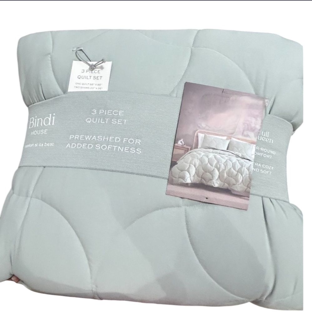 Bindi Blue 3 Piece Full/Queen Matcha Green Quilt Set 88”x88”